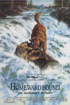 Homeward Bound: The Incredible Journey