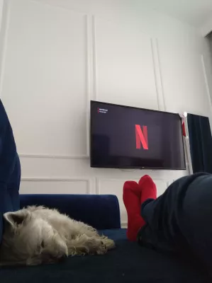 10 Best Legal Streaming Services - Netflix Platform, And Others : Netflix and Chill at home with dog